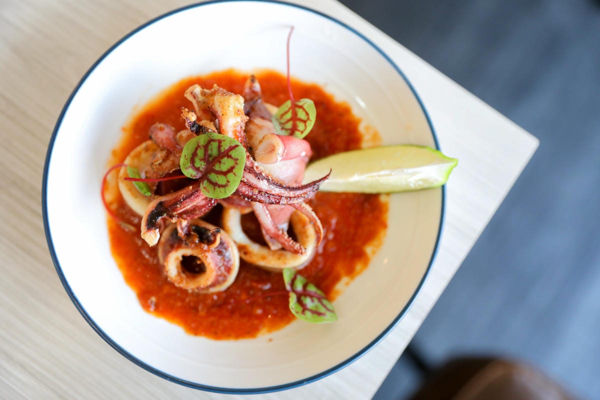 竹北義式餐廳推薦! Dambino丹比諾 手工義大利麵.披薩(竹北店) 多款義大利麵選擇.美味窯烤披薩