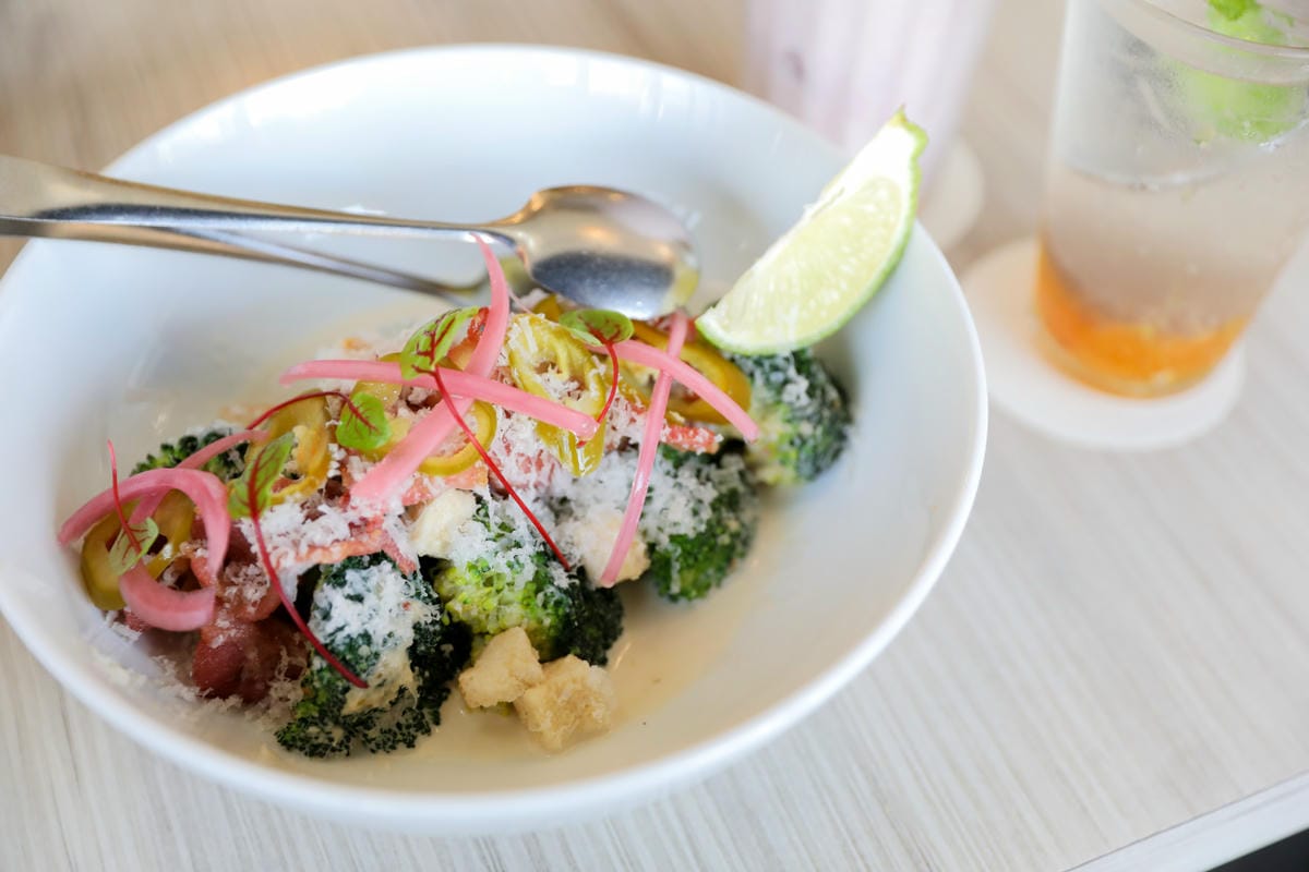 竹北義式餐廳推薦! Dambino丹比諾 手工義大利麵.披薩(竹北店) 多款義大利麵選擇.美味窯烤披薩