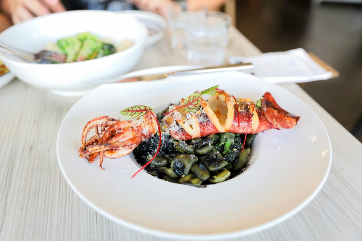 竹北義式餐廳推薦! Dambino丹比諾 手工義大利麵.披薩(竹北店) 多款義大利麵選擇.美味窯烤披薩