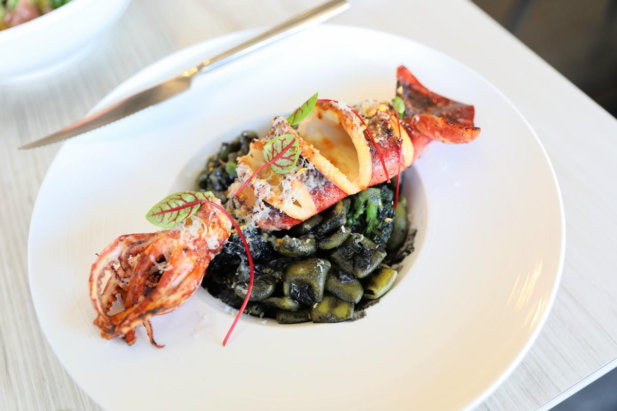 竹北義式餐廳推薦! Dambino丹比諾 手工義大利麵.披薩(竹北店) 多款義大利麵選擇.美味窯烤披薩