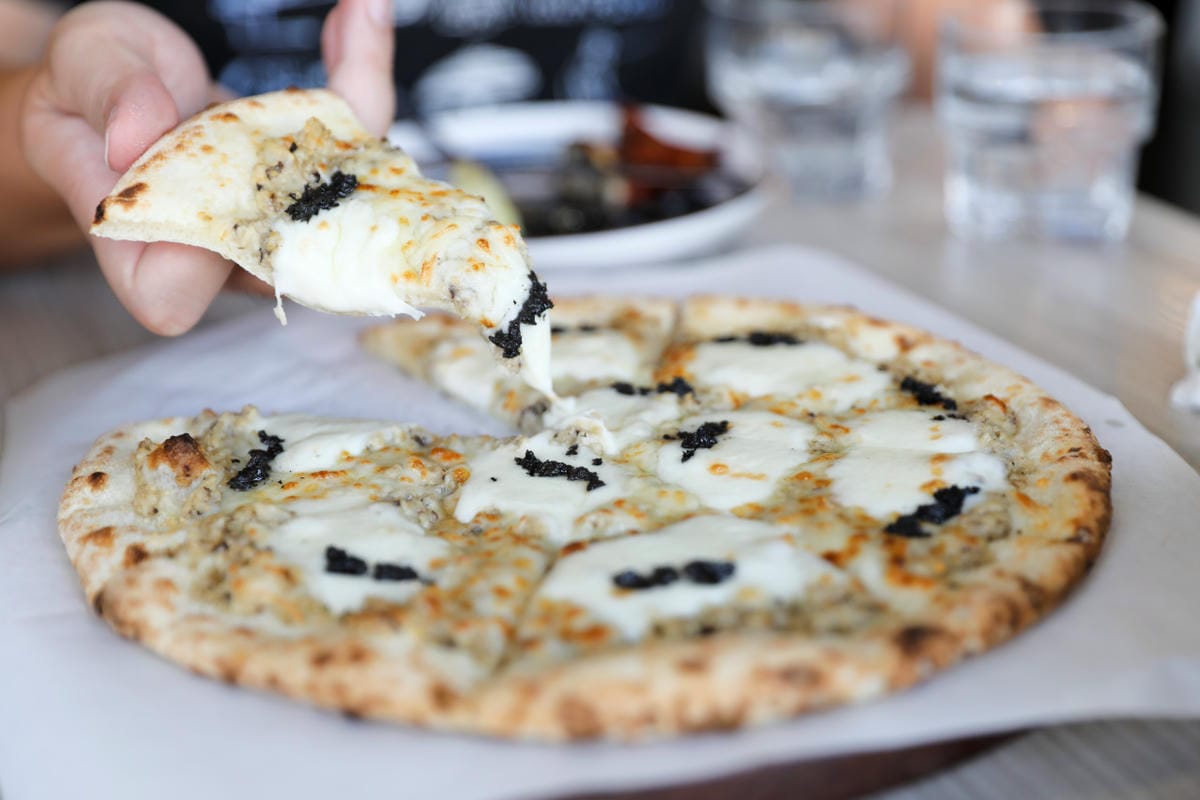 竹北義式餐廳推薦! Dambino丹比諾 手工義大利麵.披薩(竹北店) 多款義大利麵選擇.美味窯烤披薩