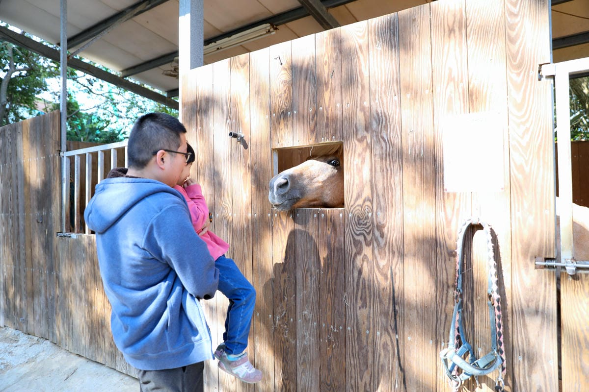 台北親子騎馬體驗推薦! 淡水佑昇馬術中心 一日小小騎士馬術體驗課程