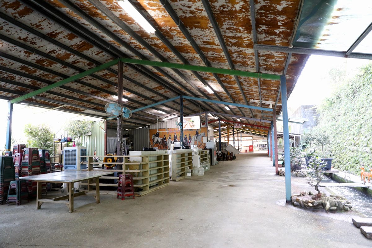 台北親子騎馬體驗推薦! 淡水佑昇馬術中心 一日小小騎士馬術體驗課程