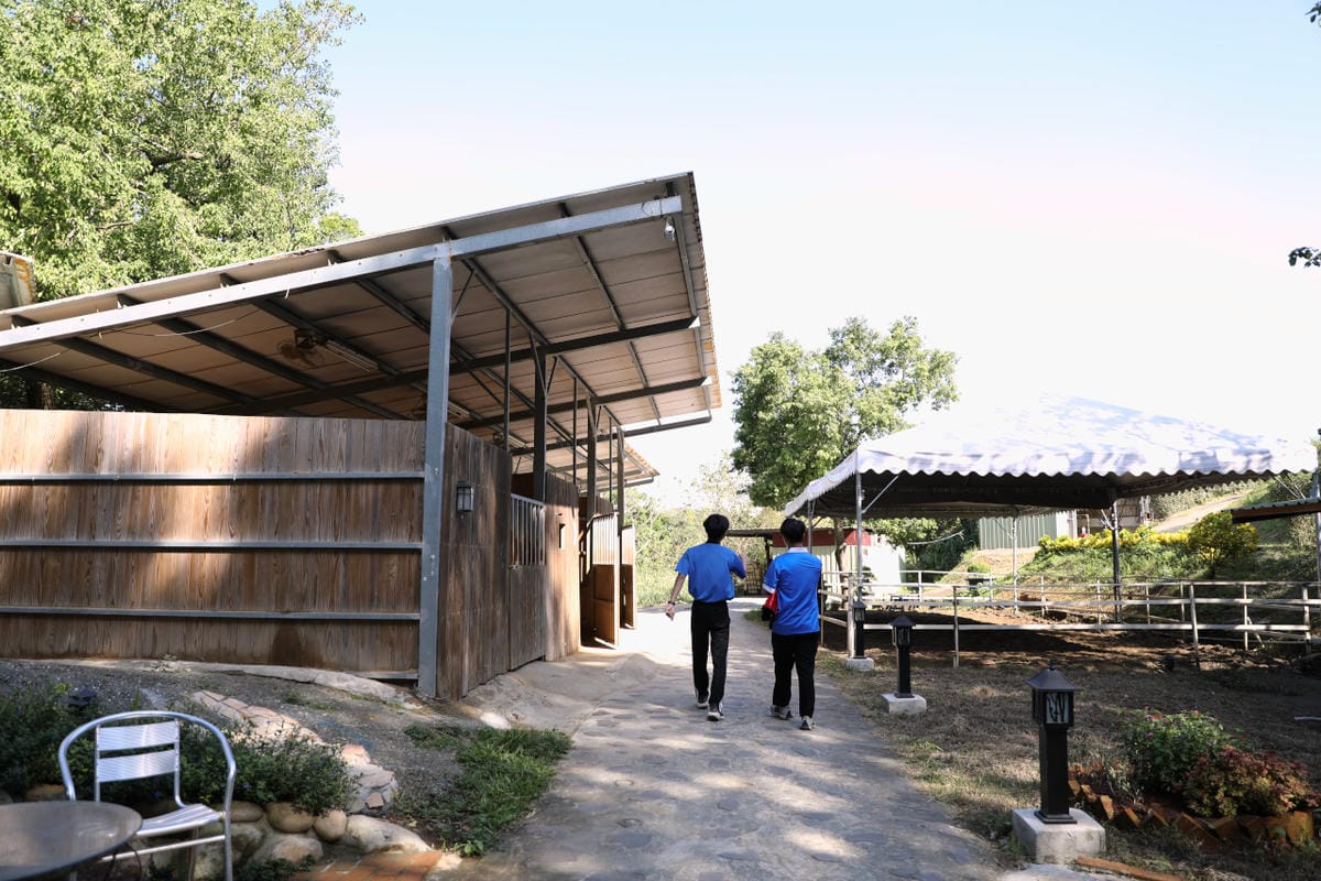 台北親子騎馬體驗推薦! 淡水佑昇馬術中心 一日小小騎士馬術體驗課程