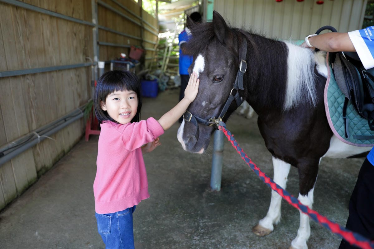 台北親子騎馬體驗推薦! 淡水佑昇馬術中心 一日小小騎士馬術體驗課程
