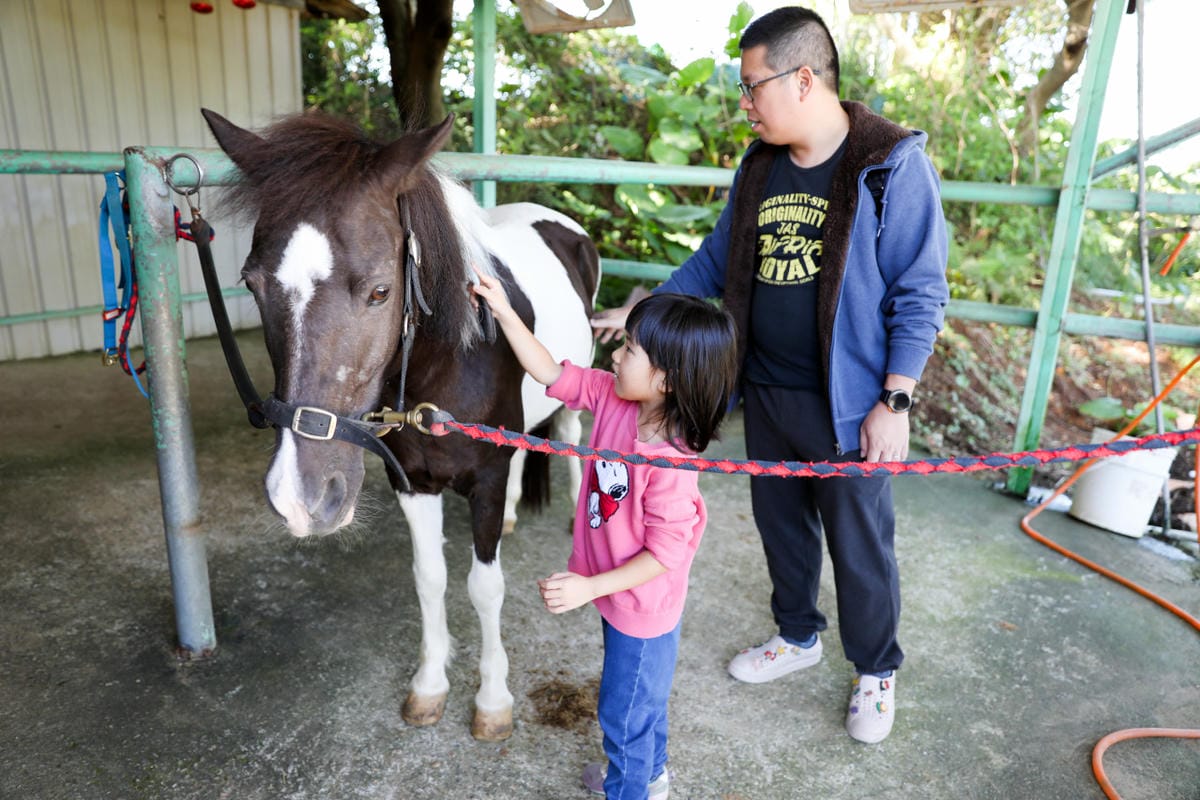 台北親子騎馬體驗推薦! 淡水佑昇馬術中心 一日小小騎士馬術體驗課程