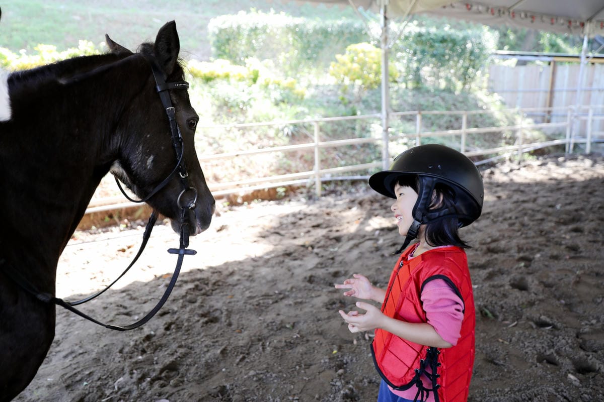 台北親子騎馬體驗推薦! 淡水佑昇馬術中心 一日小小騎士馬術體驗課程