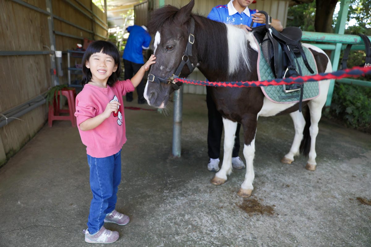 台北親子騎馬體驗推薦! 淡水佑昇馬術中心 一日小小騎士馬術體驗課程