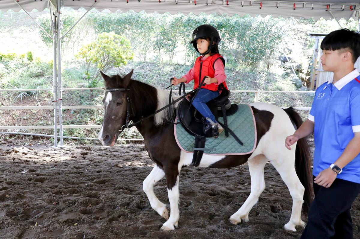 台北親子騎馬體驗推薦! 淡水佑昇馬術中心 一日小小騎士馬術體驗課程