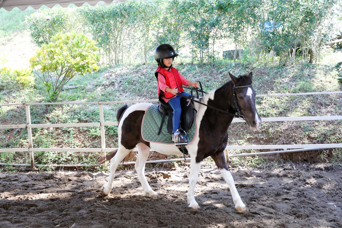 台北親子騎馬體驗推薦! 淡水佑昇馬術中心 一日小小騎士馬術體驗課程