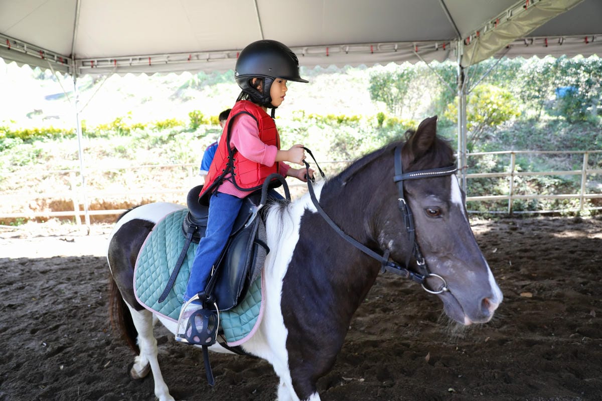 台北親子騎馬體驗推薦! 淡水佑昇馬術中心 一日小小騎士馬術體驗課程