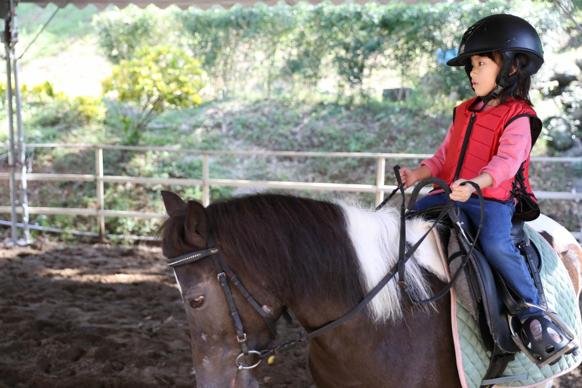台北親子騎馬體驗推薦! 淡水佑昇馬術中心 一日小小騎士馬術體驗課程