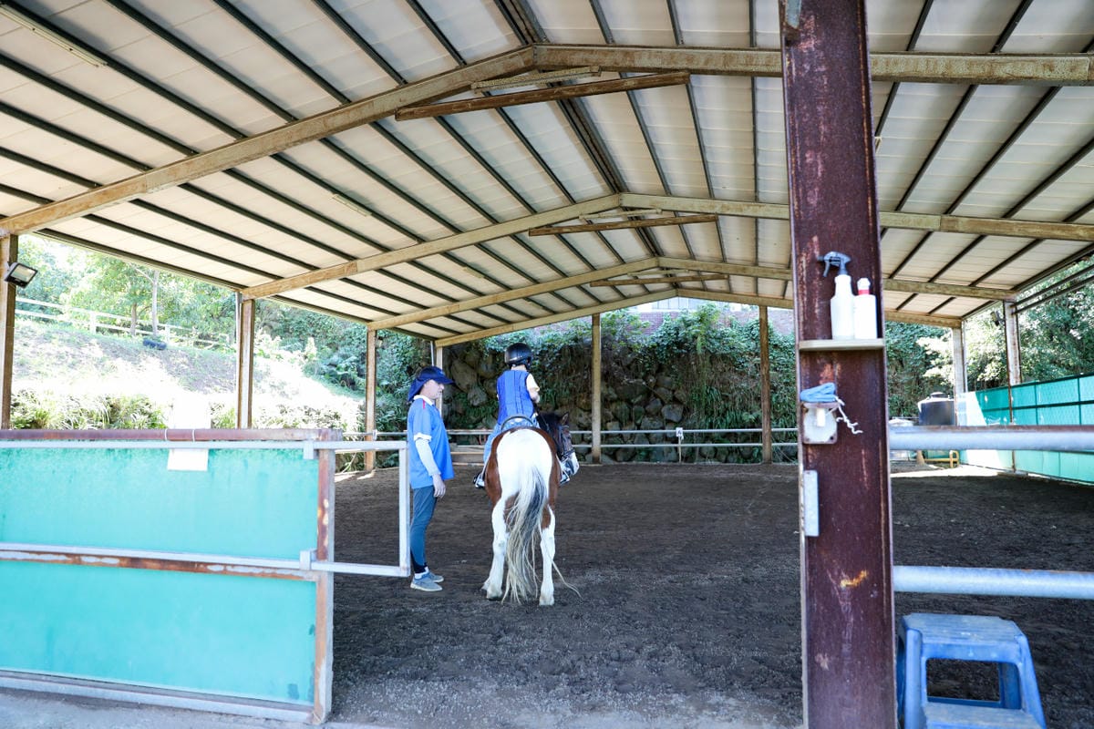 台北親子騎馬體驗推薦! 淡水佑昇馬術中心 一日小小騎士馬術體驗課程