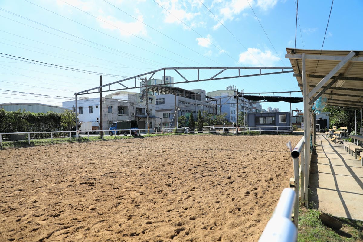 台北親子騎馬體驗推薦! 淡水佑昇馬術中心 一日小小騎士馬術體驗課程