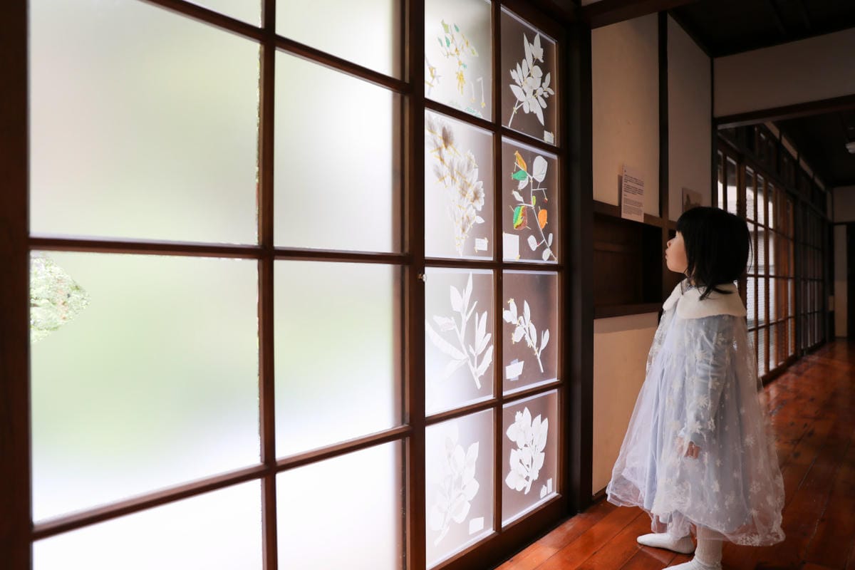 台灣林業歷史回顧與展望 0km:重訪山林課特展 台北山林療癒秘境0km山物所 - 第23張圖 台灣林業歷史回顧與展望 0km:重訪山林課特展 台北山林療癒秘境0km山物所