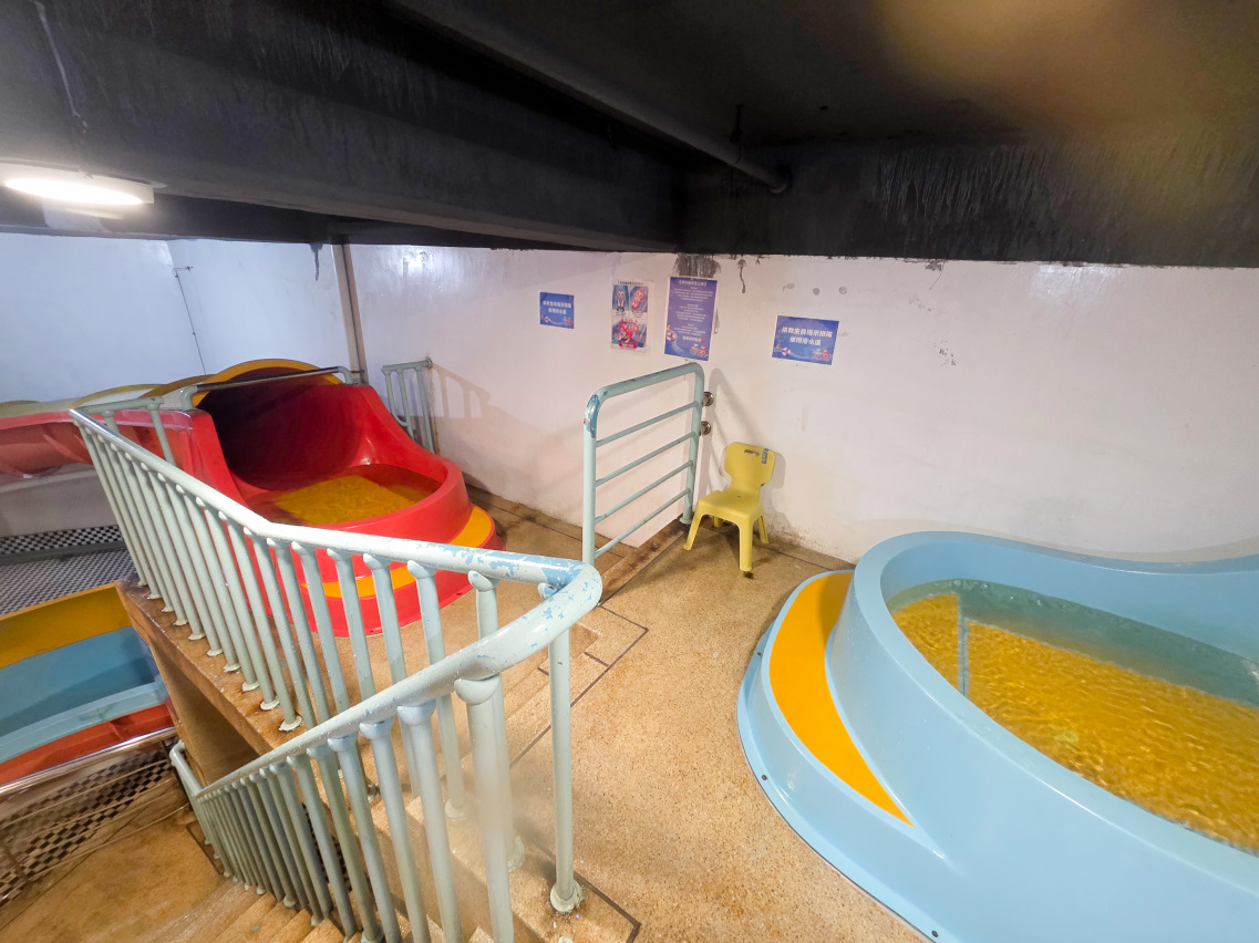 新北蘆洲親子玩水放電推薦! 樂飛翔親子運動樂園 室內溫水泳池.SPA按摩.滑水道 - 第9張圖 新北蘆洲親子玩水放電推薦! 樂飛翔親子運動樂園 室內溫水泳池.SPA按摩.滑水道
